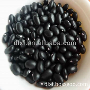 Black Kidney beans (2013 crop)